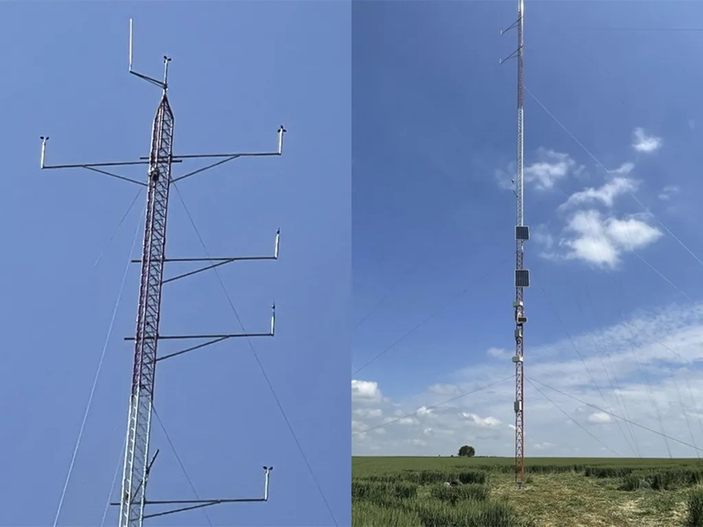 Site Assessment